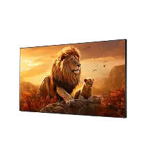 Indoor LED Display P10
