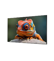 Indoor LED Display P5